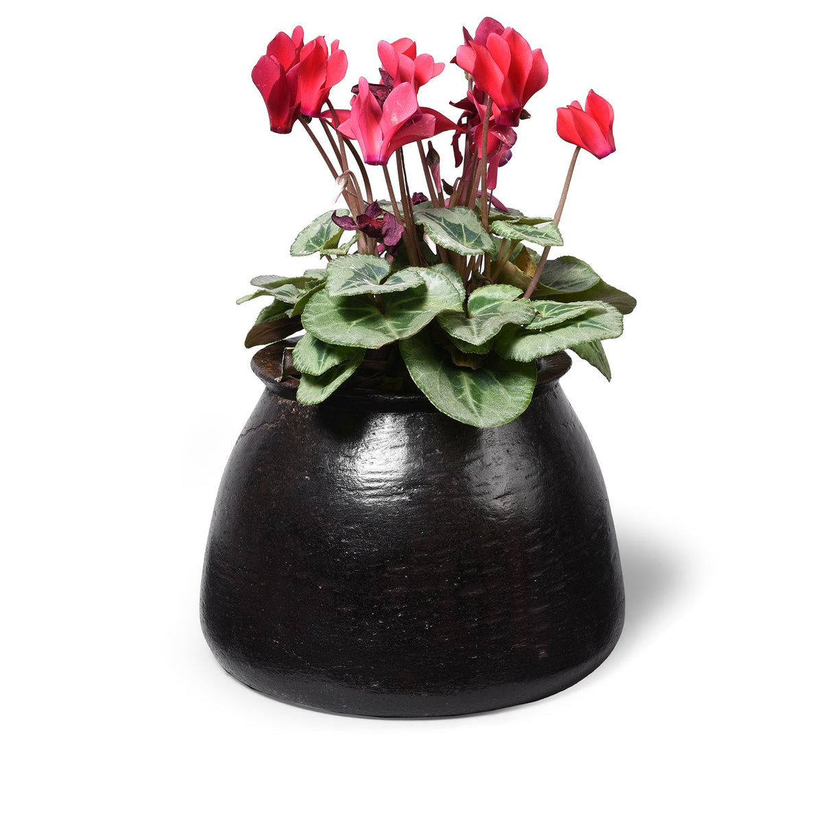 Vintage Indian Stone Plant Pot - Ca 1920's