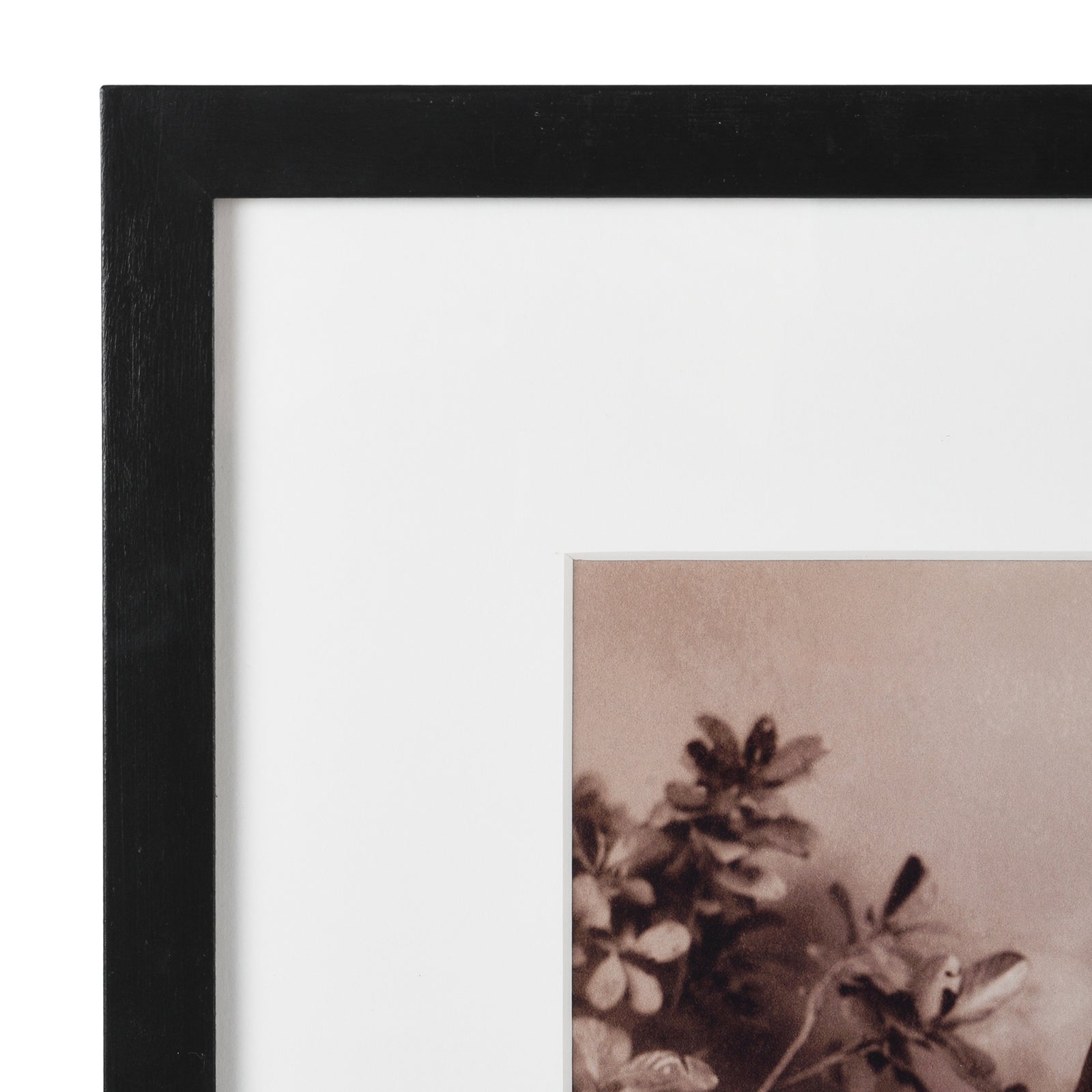 Framed  Photograph: Nawab Obeidullah Khan of Tonk
