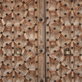 Large Indian Door From Punjab - 19th Century