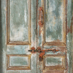 Painted Indian Door & Frame From Gujarat - 19th Century