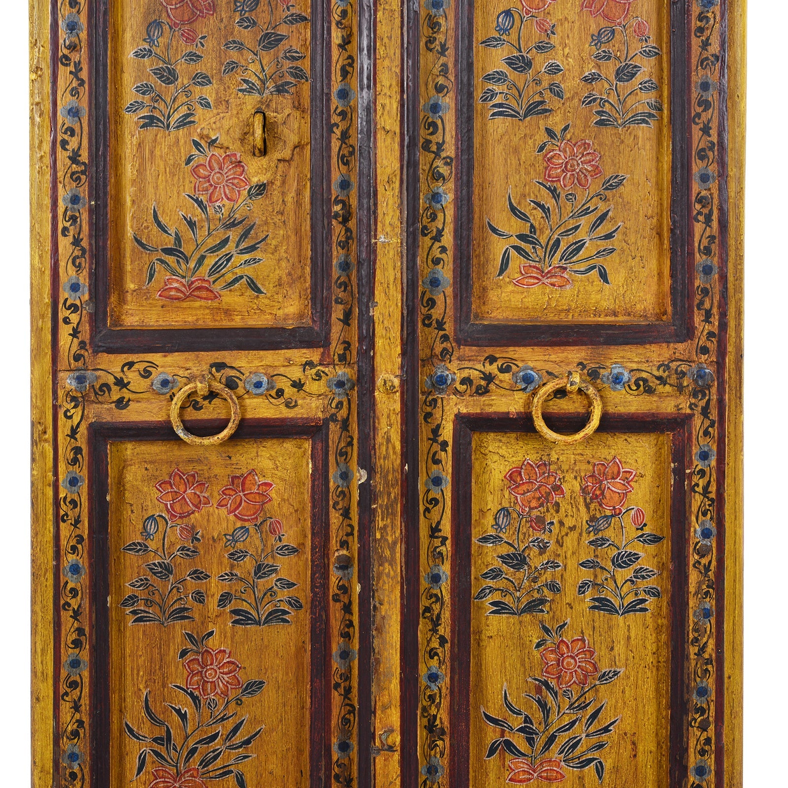 Vintage Painted Indian Doors