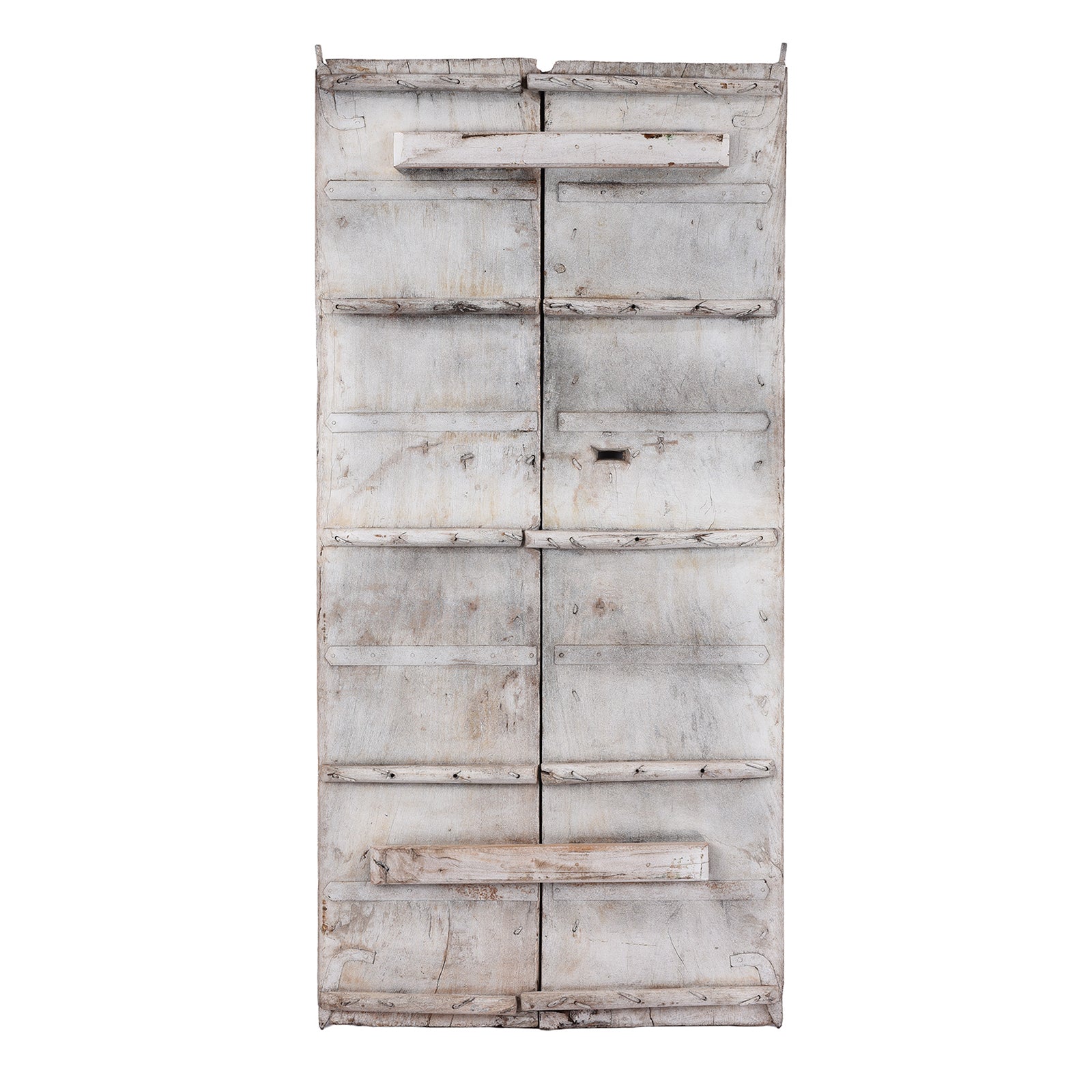Old Door Indian With Tiger Painting