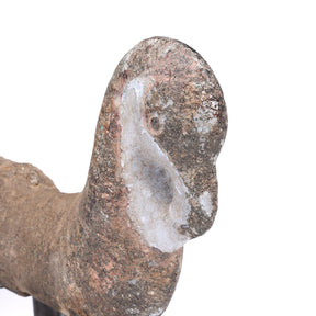 Stone Parrot Turban Hanger From Dungarpur - 19thC