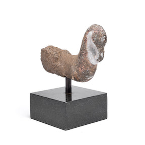 Stone Parrot Turban Hanger From Dungarpur - 19thC