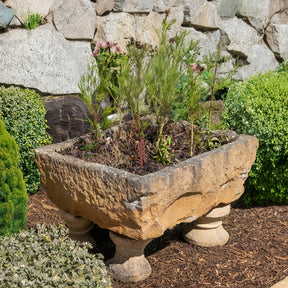 Carved Stone Water Trough - 19th Century