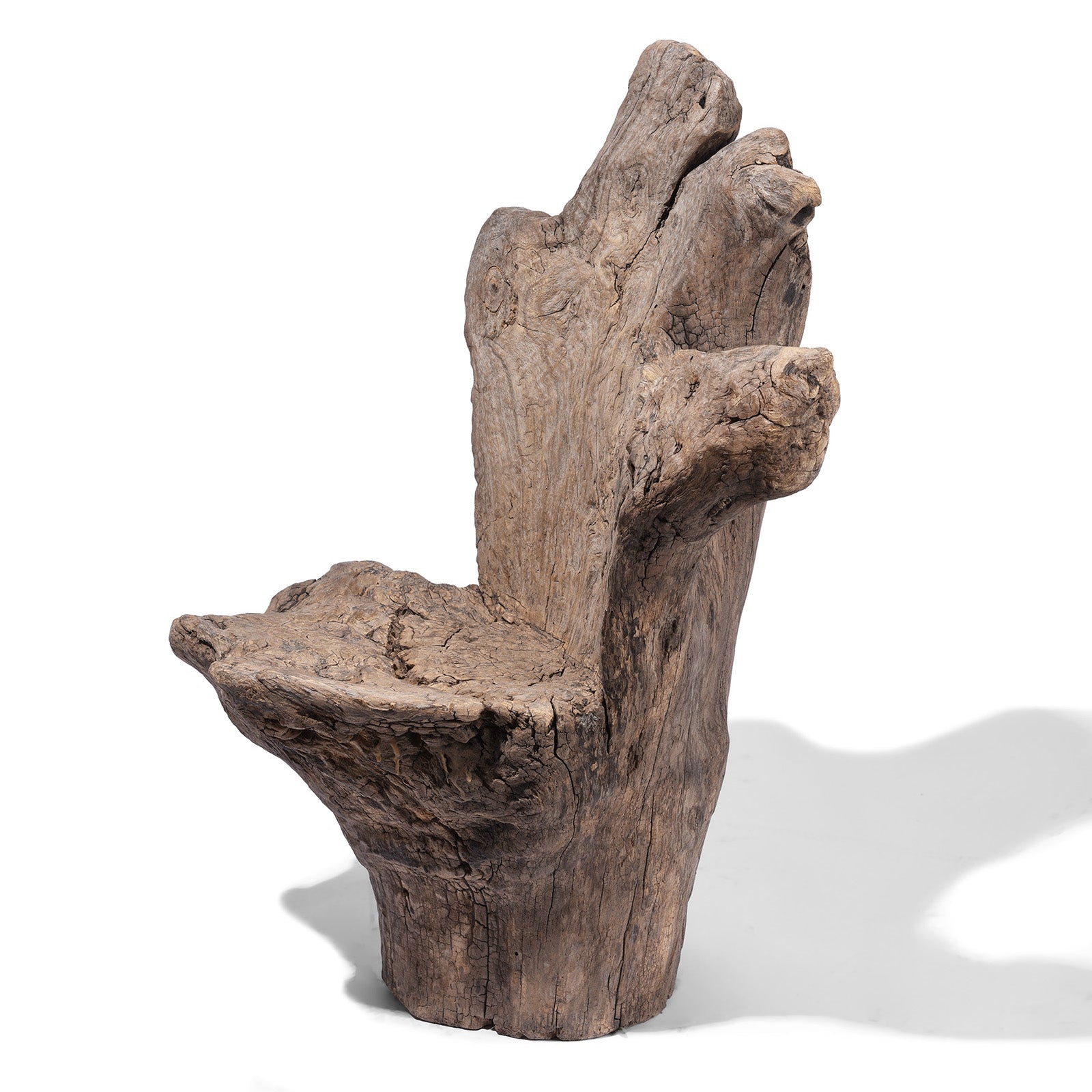 Poplar Root Chair