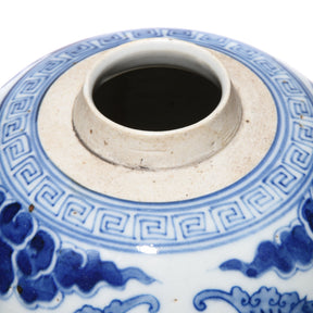 Blue & White Porcelain Ginger Jar - Peacocks