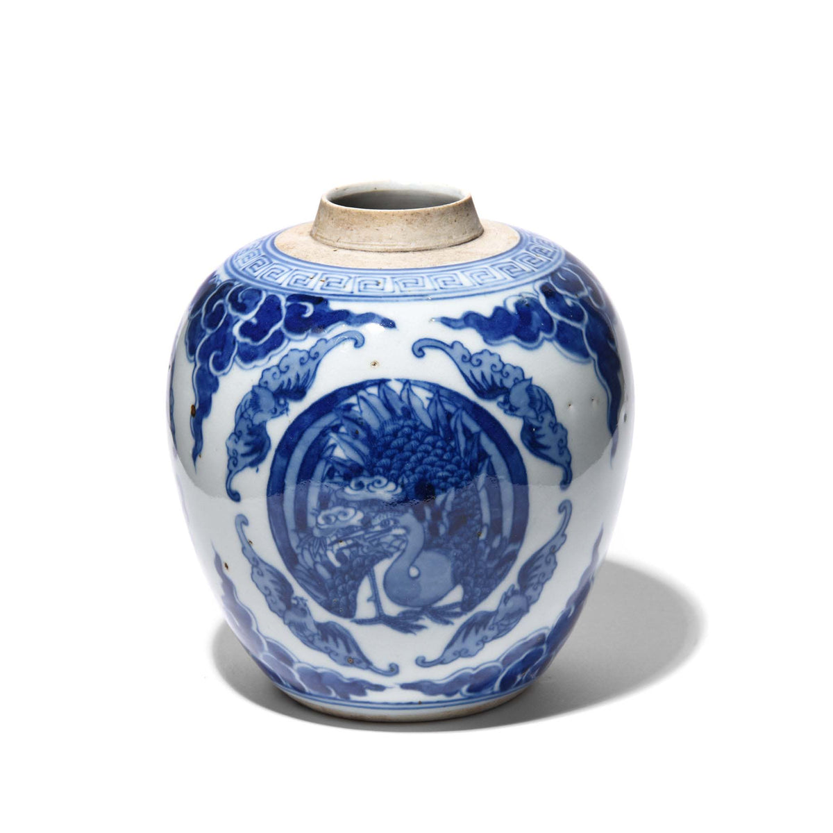 Blue & White Porcelain Ginger Jar - Peacocks