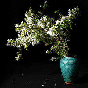 Green Copper Glazed Vase