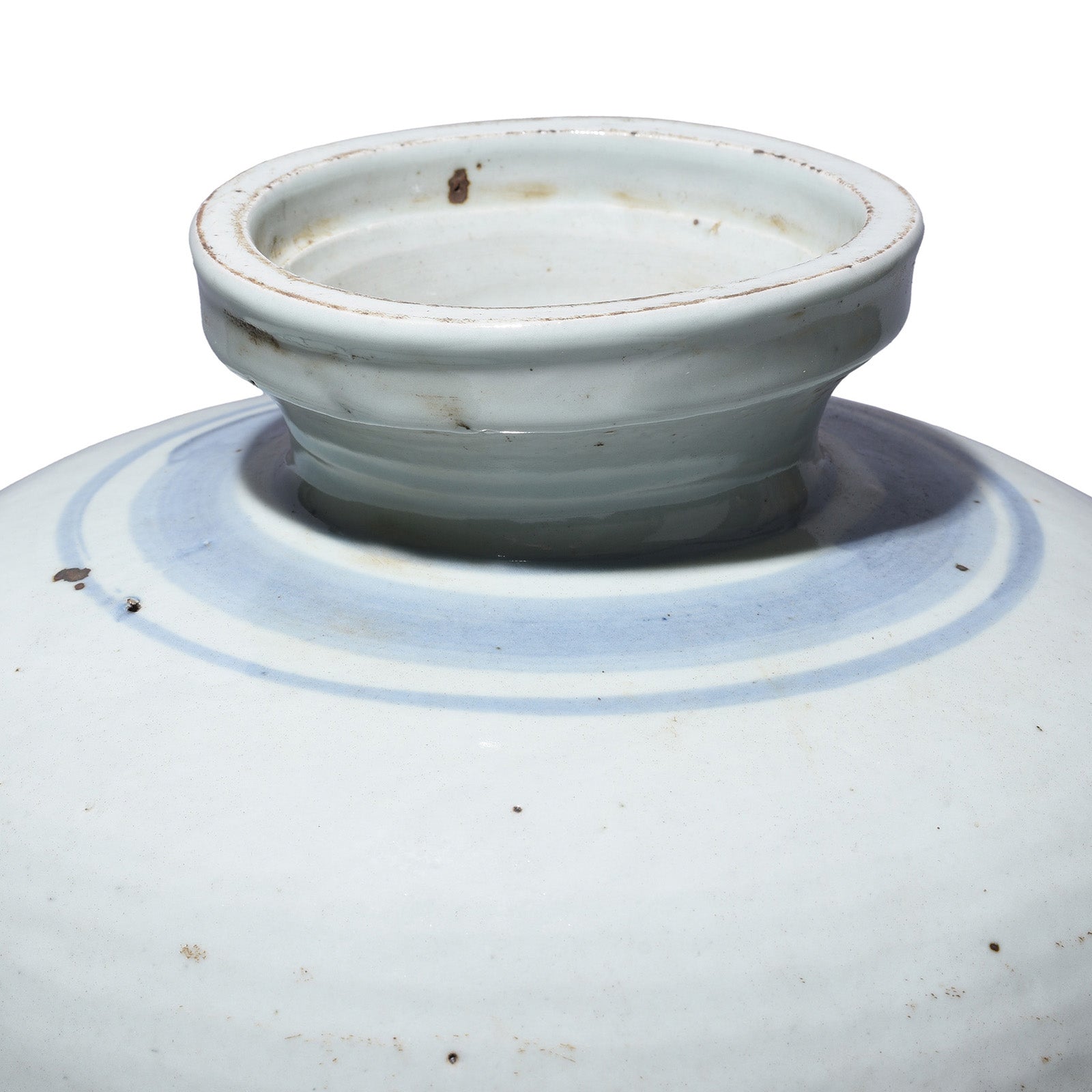 Provincial Style Blue & White Porcelain Jar - Fish Design