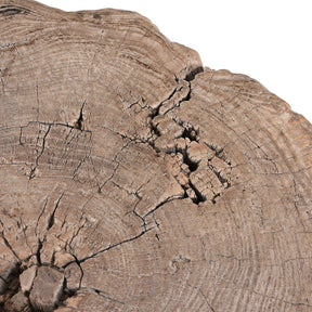 Yumu Elm Tree Stump Coffee Table