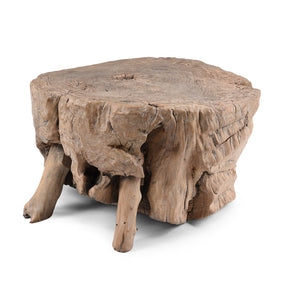 Yumu Elm Tree Stump Coffee Table