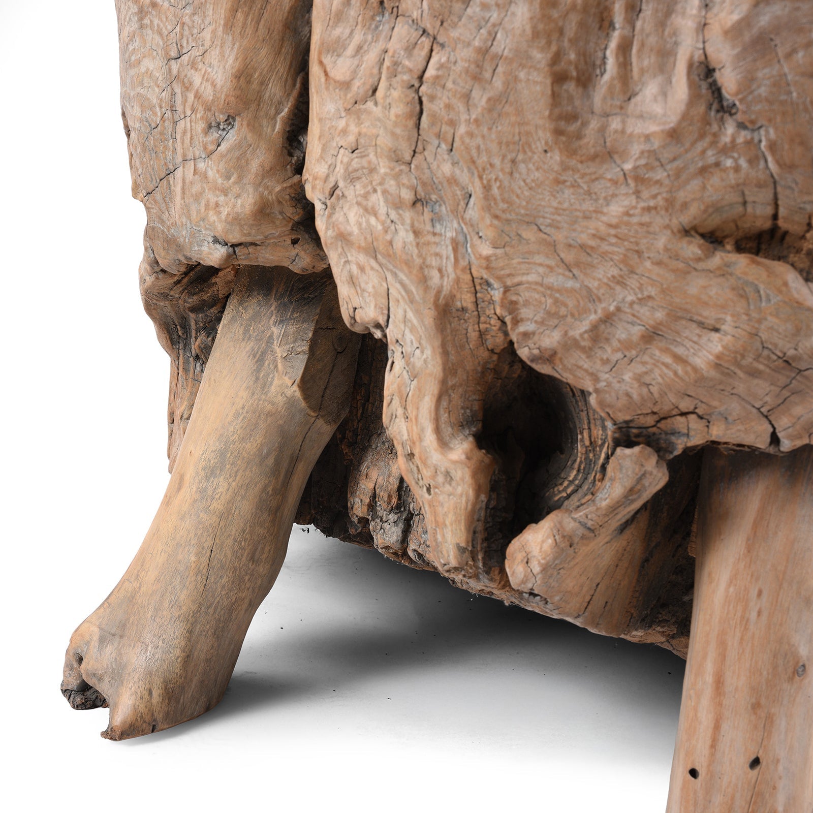 Yumu Elm Tree Stump Coffee Table