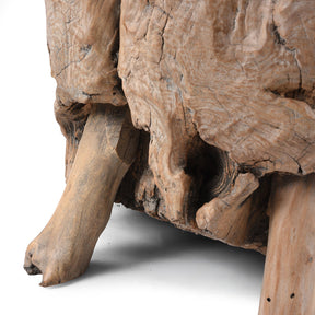 Yumu Elm Tree Stump Coffee Table