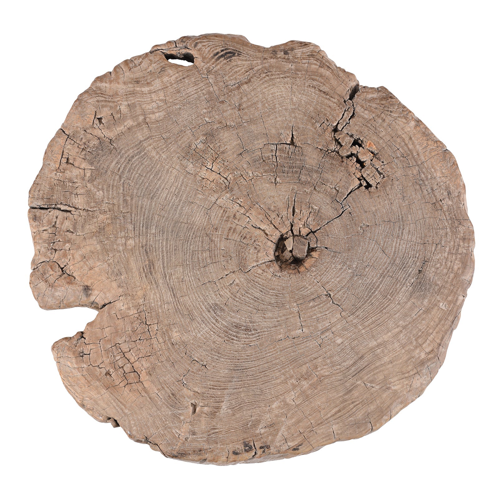 Yumu Elm Tree Stump Coffee Table