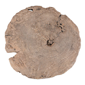 Yumu Elm Tree Stump Coffee Table