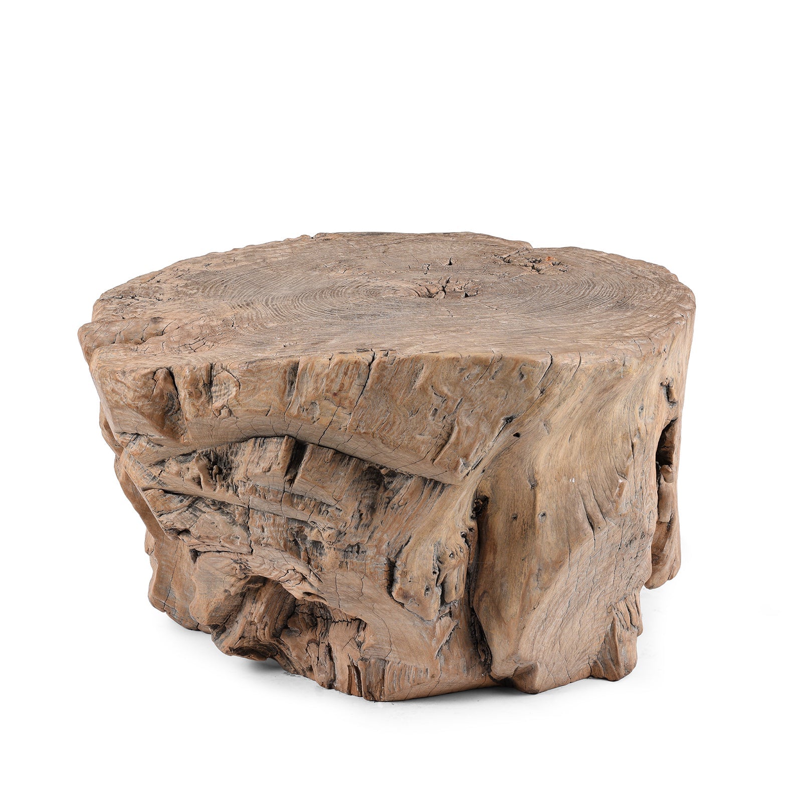 Yumu Elm Tree Stump Coffee Table