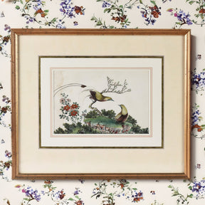 Framed Chinese Watercolour of Birds on Pith Paper - 19th Century
