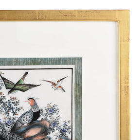 Framed Watercolour Painting of Birds on Pith Paper - 19thC
