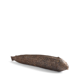 Bronze Dokra Kondh Fish From Orissa - Early 20th Century