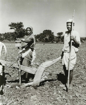 Carved Rosewood Seed Drill  - Ca 1920