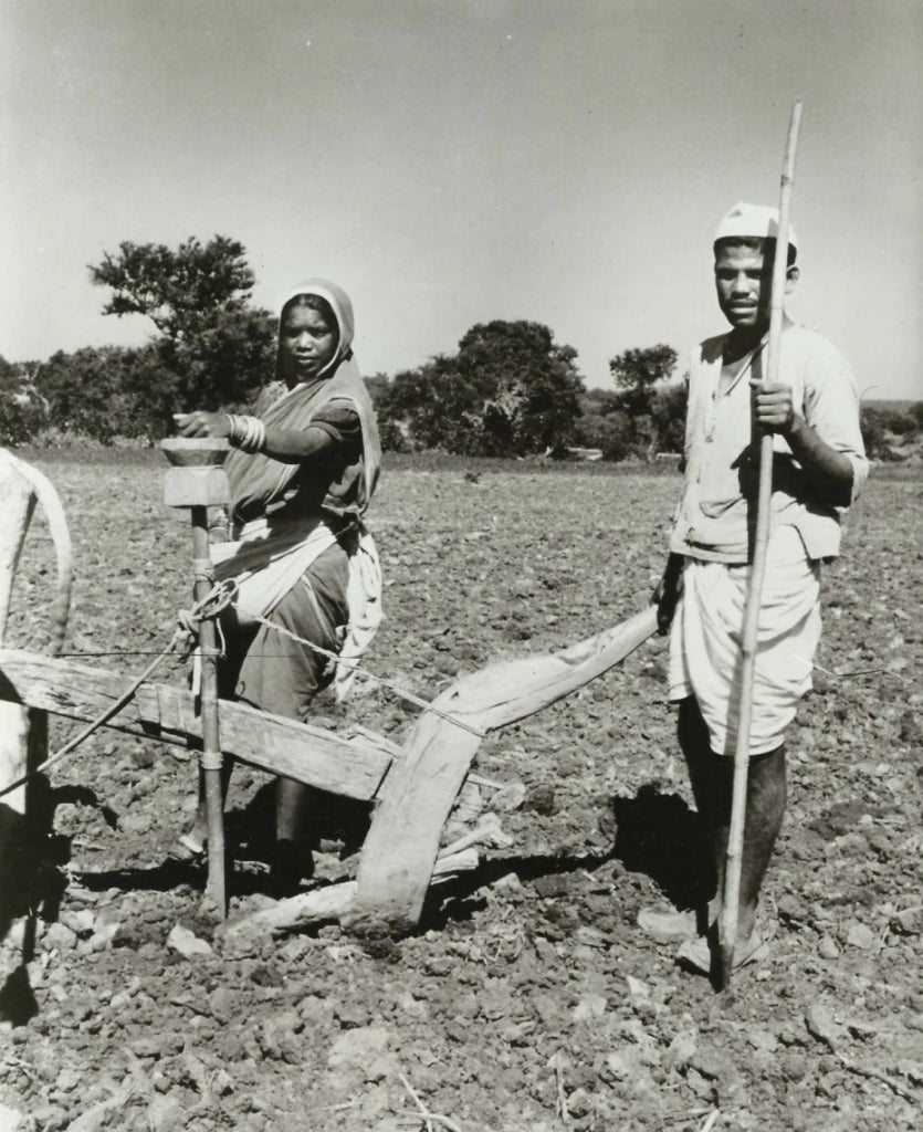 Carved Rosewood Seed Drill  - Ca 1920