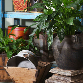 Vintage Chinese Market Trug - Ca 1920's