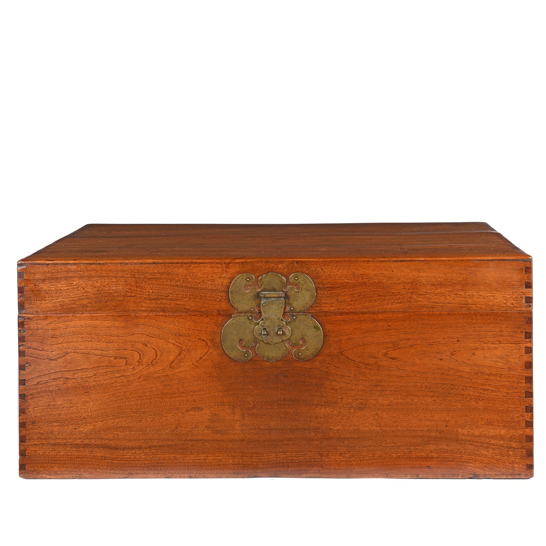 Chinese Camphor Trunk from Tianjin - 19thC