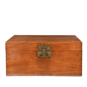 Chinese Camphor Trunk from Tianjin - 19thC