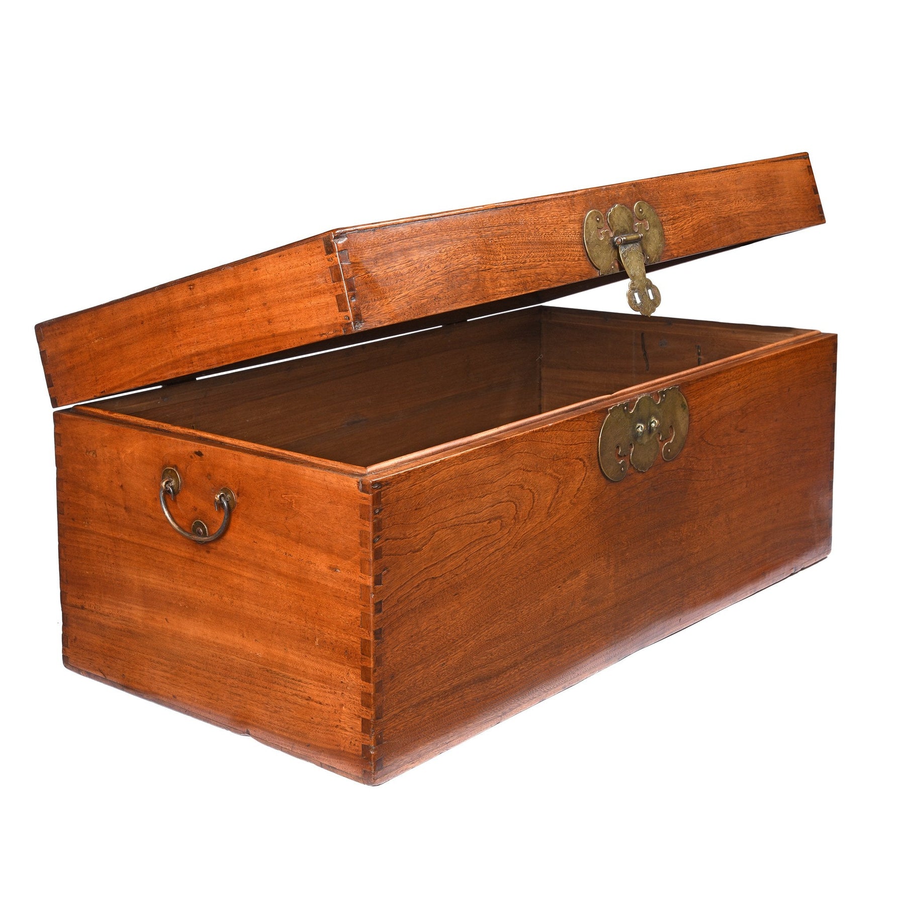 Chinese Camphor Trunk from Tianjin - 19thC