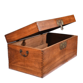 Chinese Camphor Trunk from Tianjin - 19thC