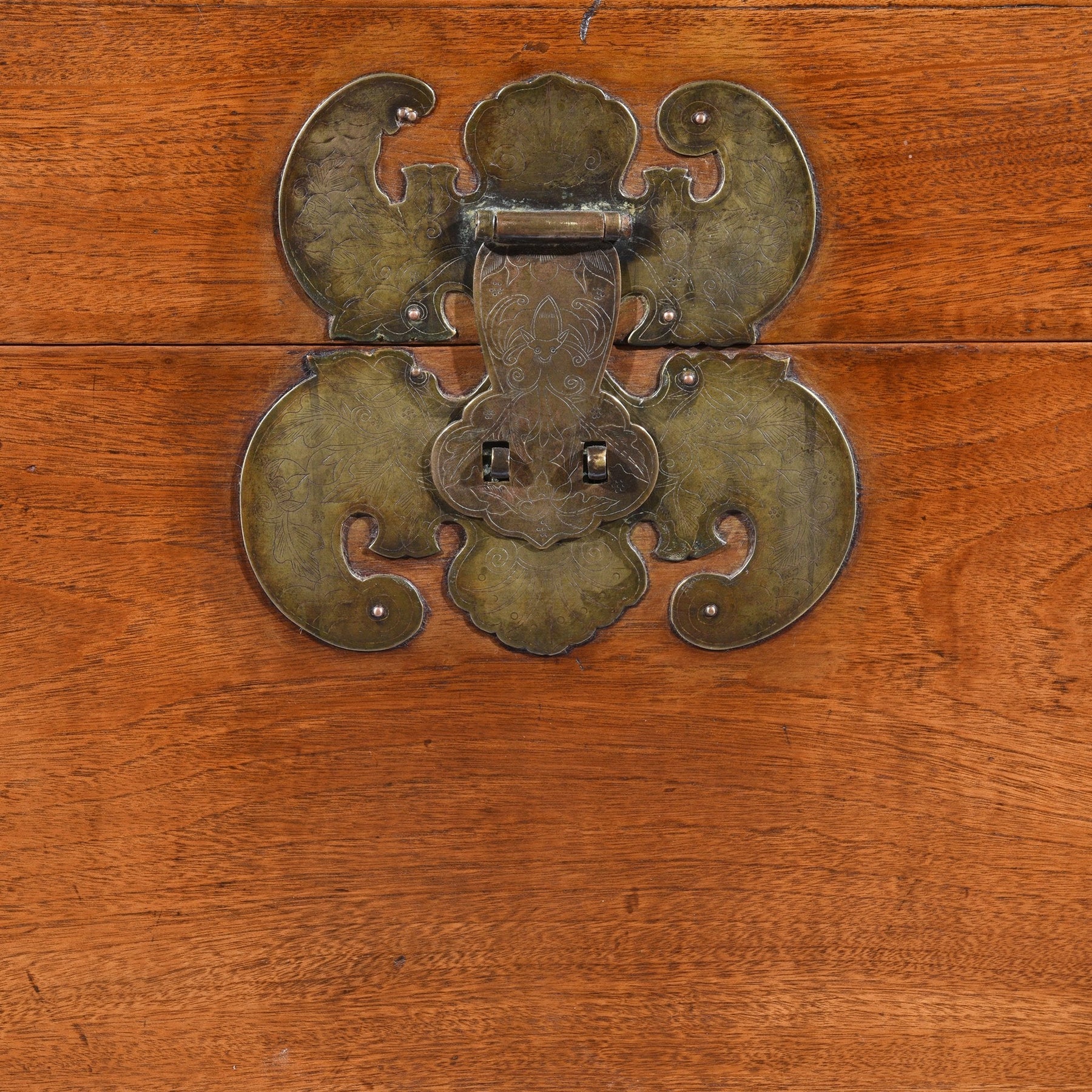 Chinese Camphor Trunk from Tianjin - 19thC