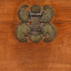 Chinese Camphor Trunk from Tianjin - 19thC
