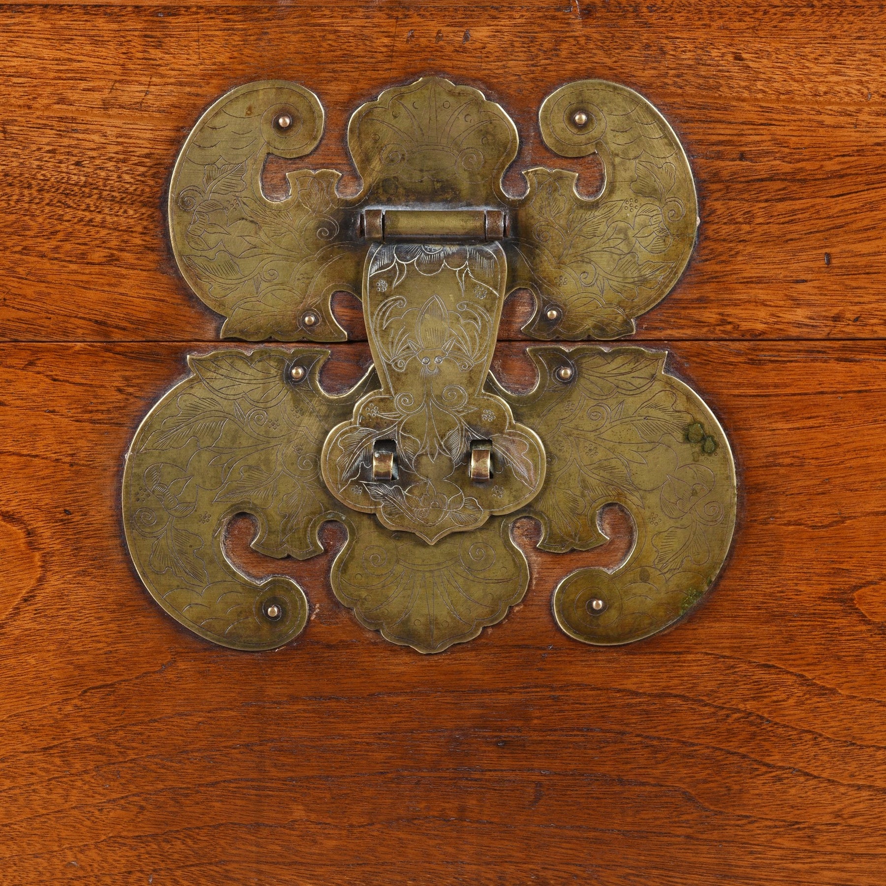 Chinese Camphor Trunk from Tianjin - 19thC
