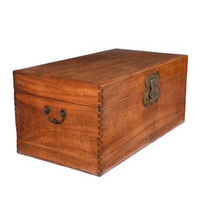 Chinese Camphor Trunk from Tianjin - 19thC