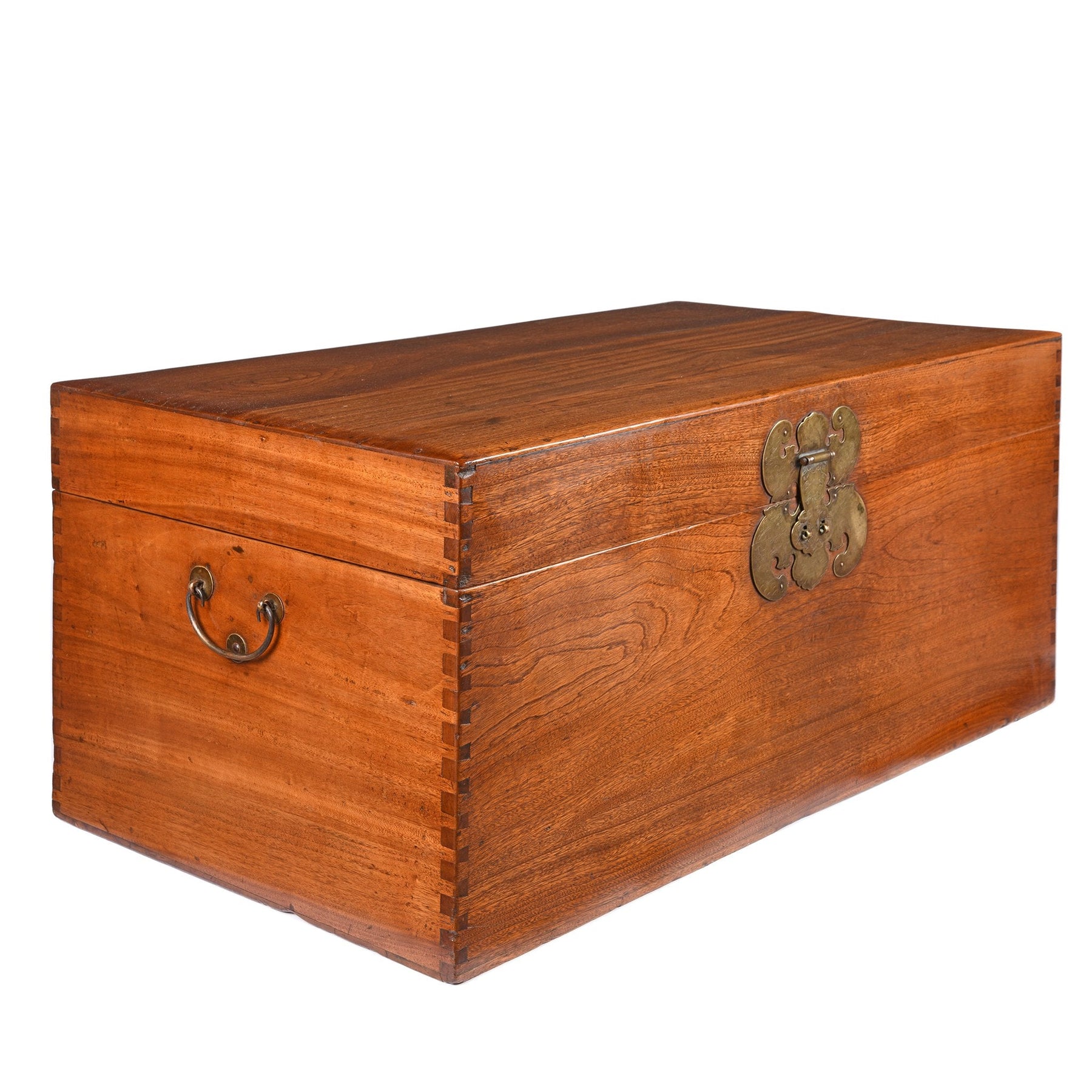 Chinese Camphor Trunk from Tianjin - 19thC