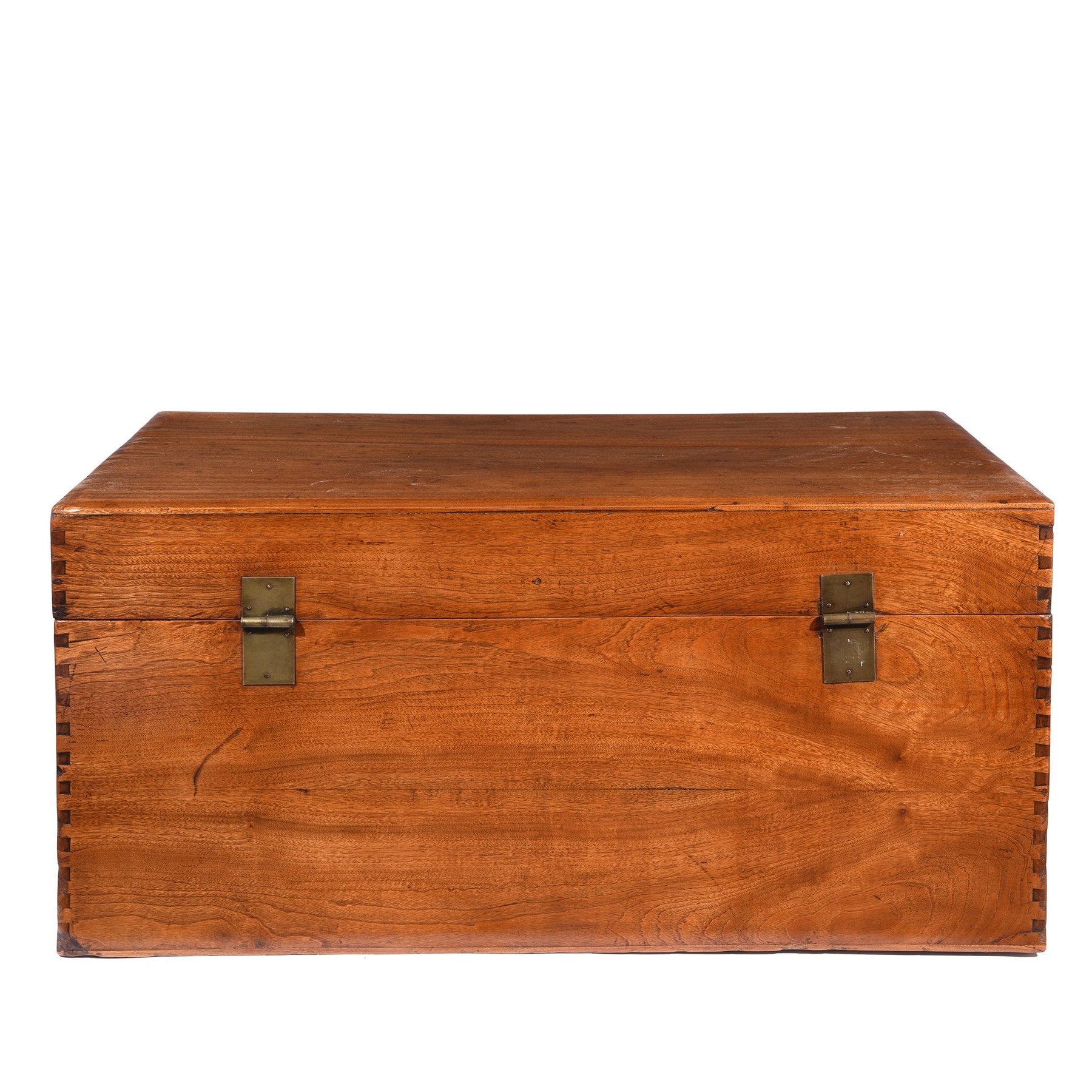 Chinese Camphor Trunk from Tianjin - 19thC