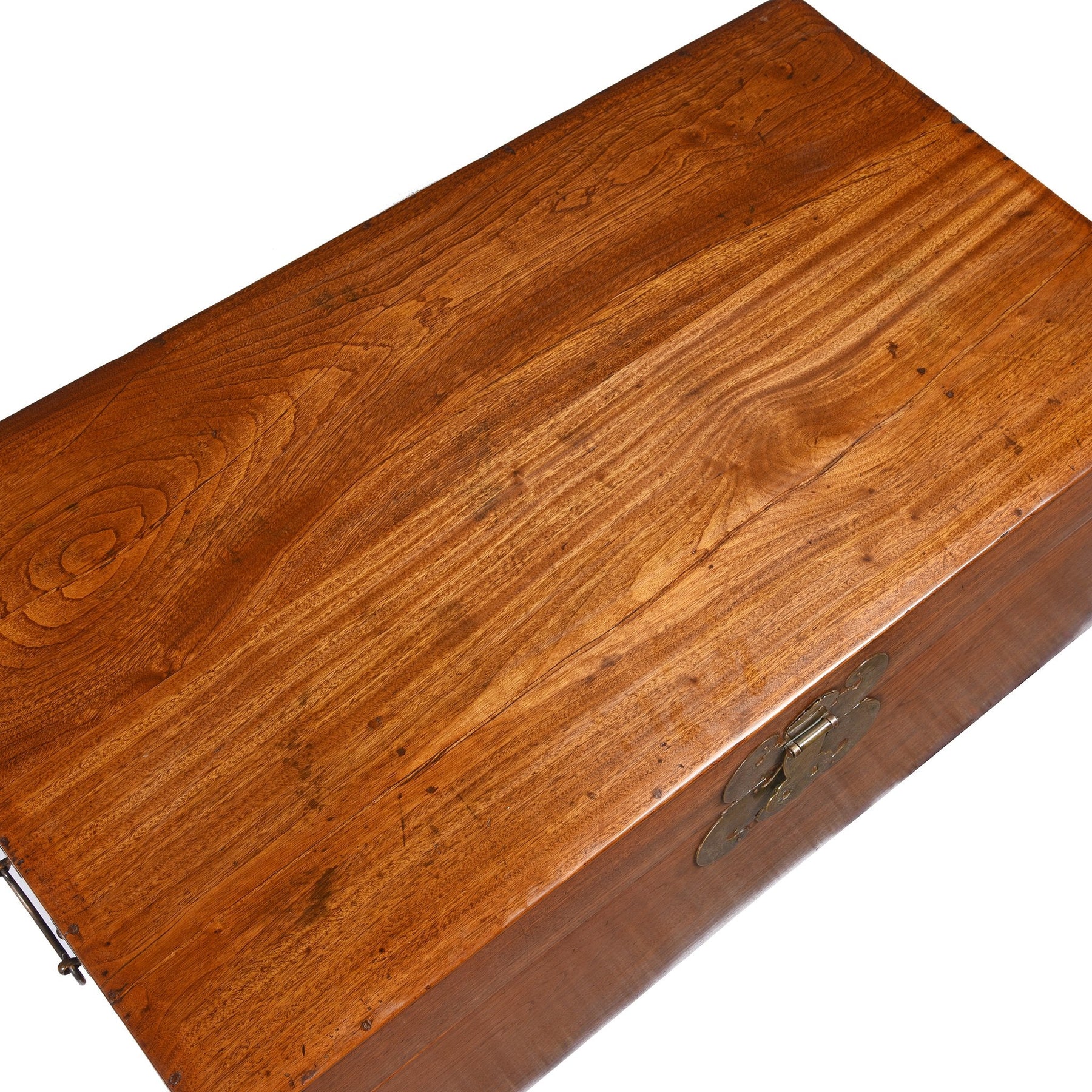 Chinese Camphor Trunk from Tianjin - 19thC