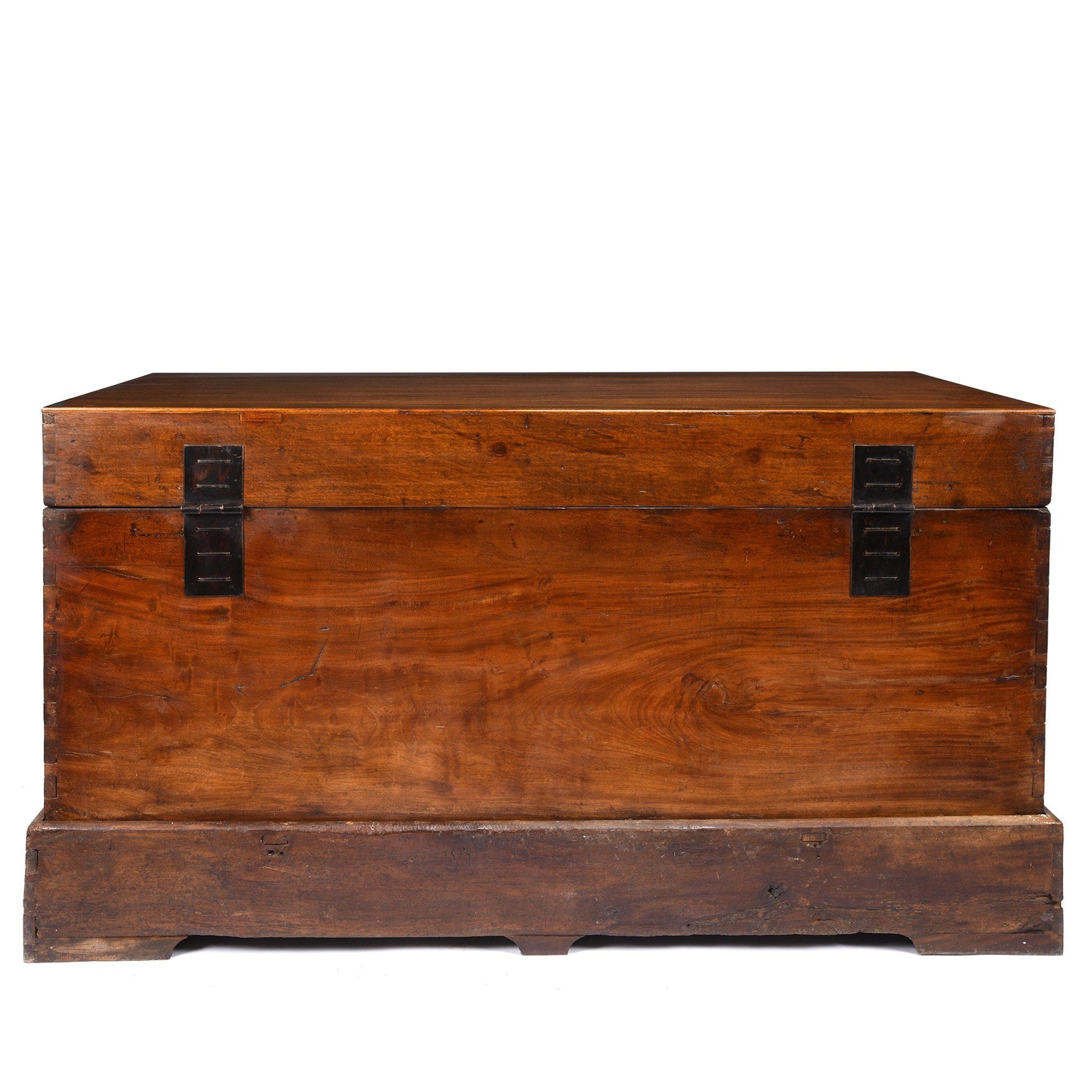 Exceptionally Large Camphor Trunk From Hebei - Early 19th Century