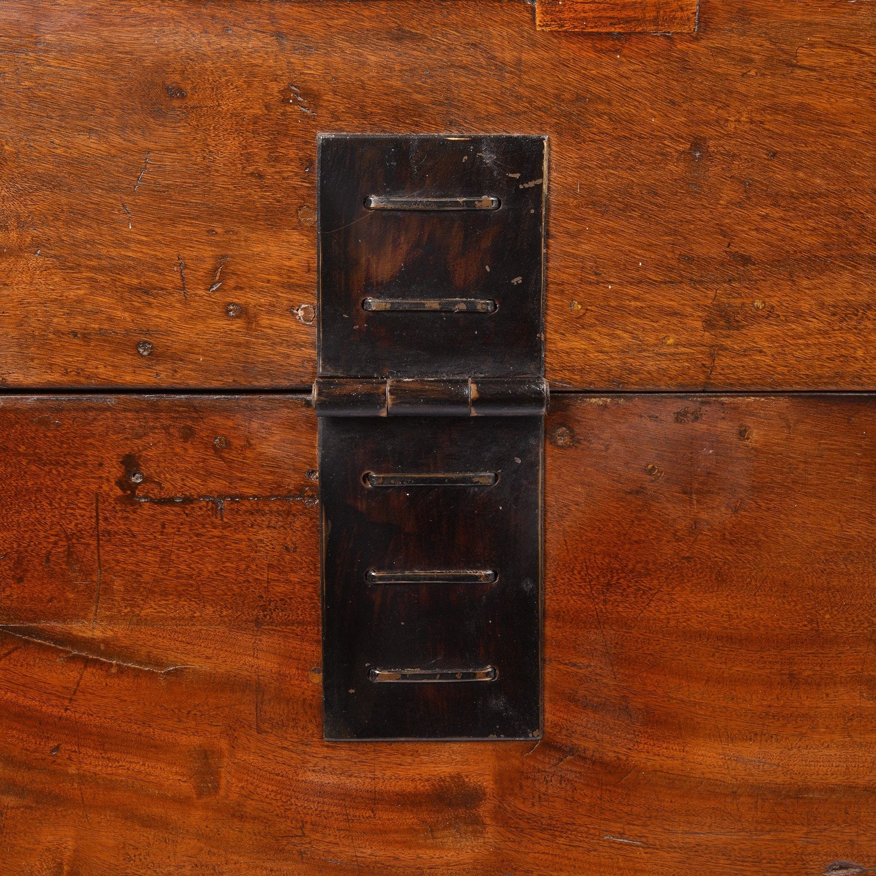 Exceptionally Large Camphor Trunk From Hebei - Early 19th Century