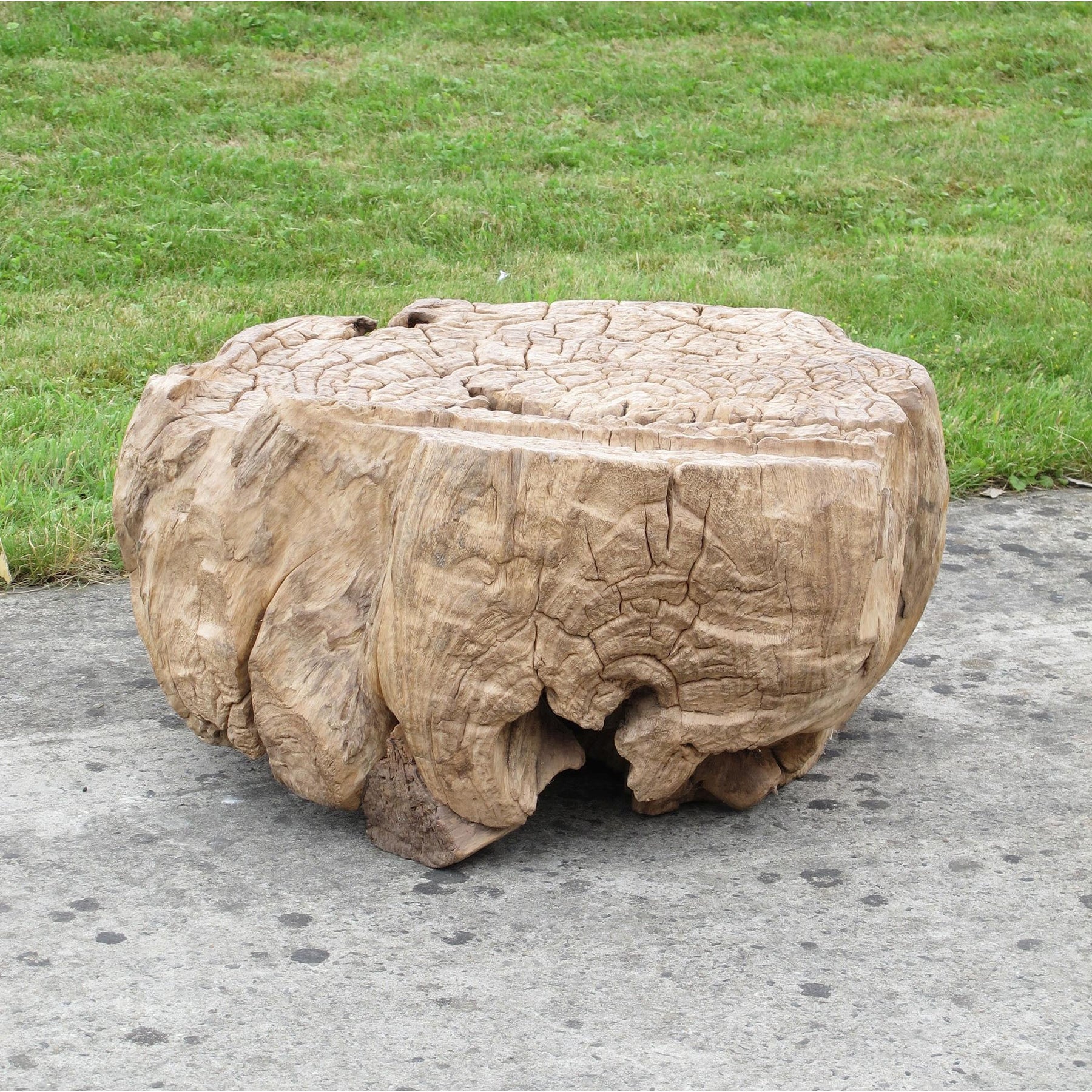 Old Root Sculpture For Coffee Table Ca 100 Yrs Old