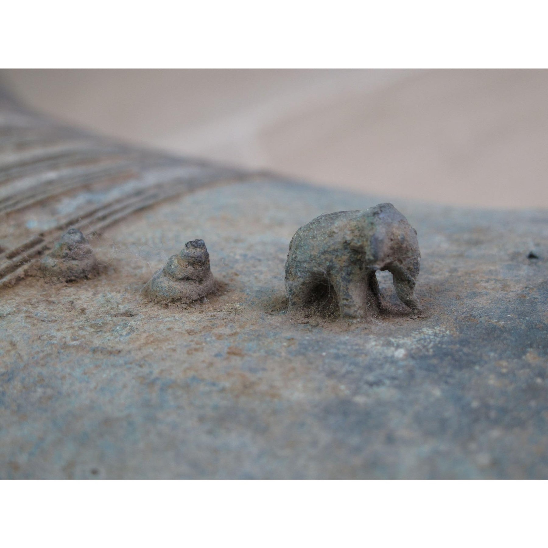 A Sino-Shan Bronze Frog Drum From Laos 75 - 100 Yrs Old