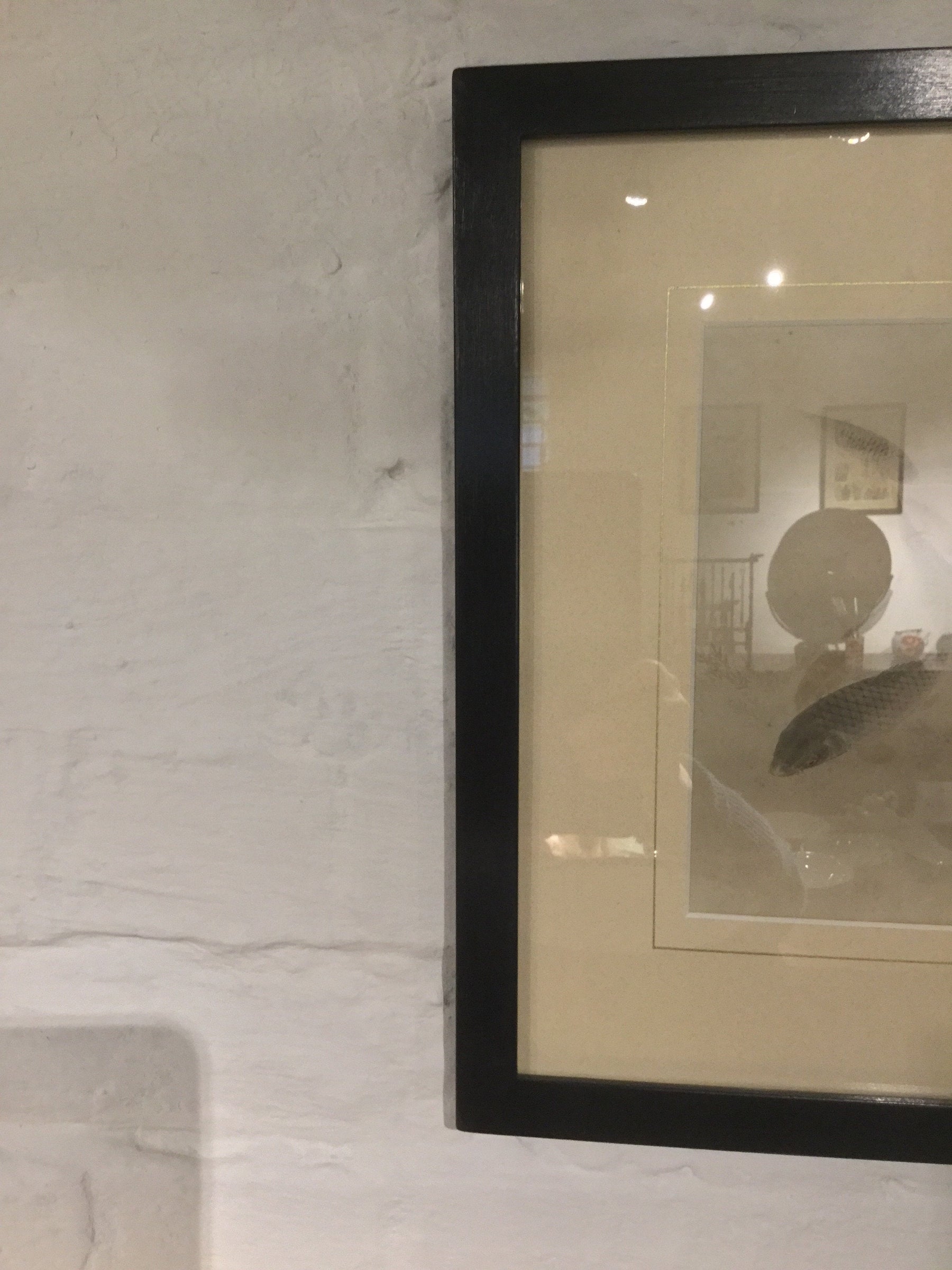 Framed Japanese Watercolour of Swimming Carp - 19thC