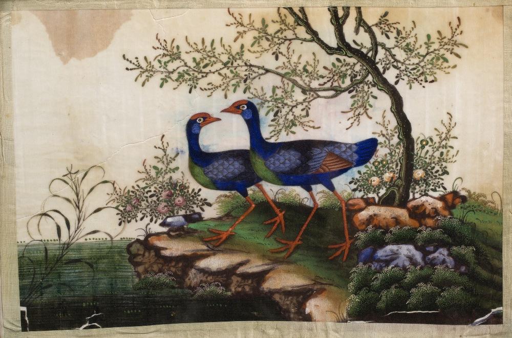 Watercolour Painting of Birds on Pith Paper - 19thC