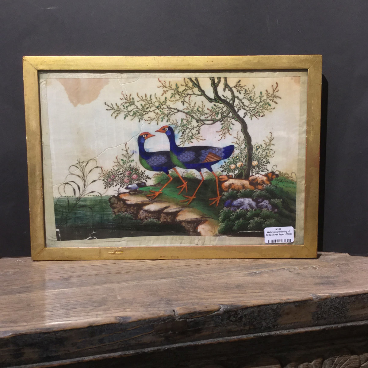 Watercolour Painting of Birds on Pith Paper - 19thC