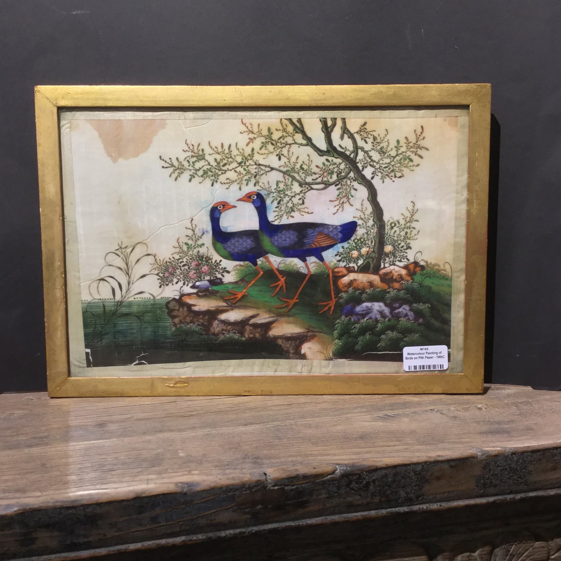 Watercolour Painting of Birds on Pith Paper - 19thC